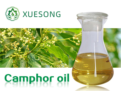 Camphor oil