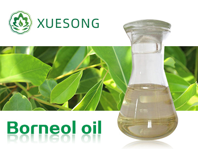 Borneol oil