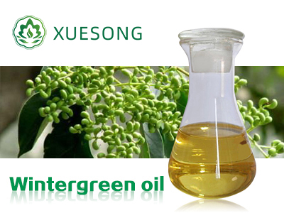 Wintergreen oil