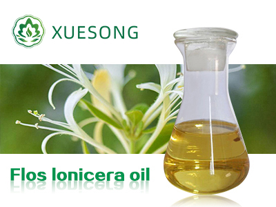 Flos lonicera oil