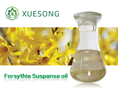 Forsythia Suspansa oil