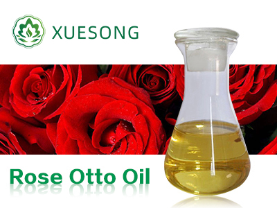 Rose Otto Oil