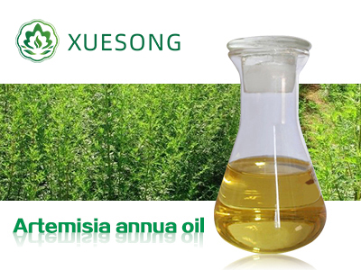 Artemisia annua oil