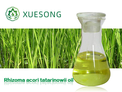 Rhizoma acori tatarinowii oil