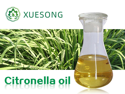 Citronella oil
