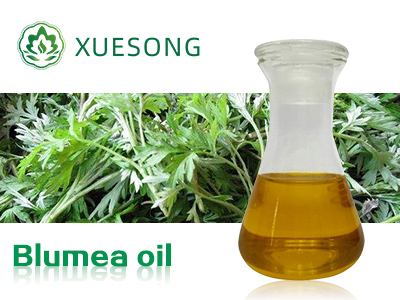 Blumea oil