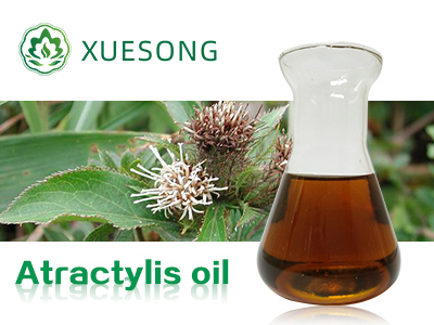Atractylis oil