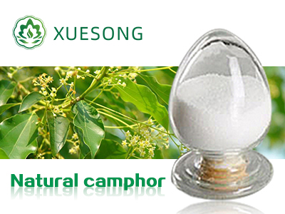 Natural camphor