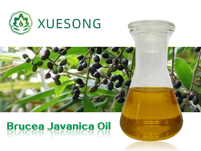 Brucea javanica oil