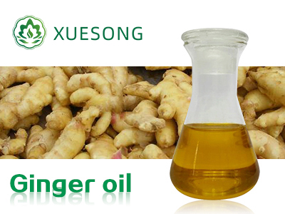 ginger oil