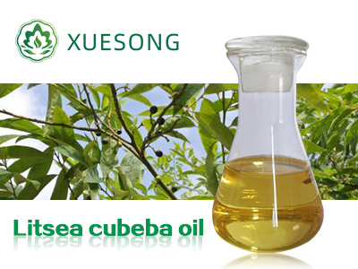 Litsea cubeba oil