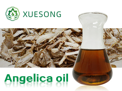 Angelica oil