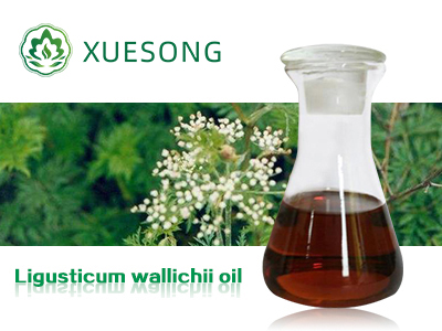 Ligusticum wallichii oil
