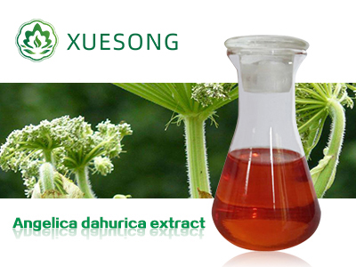 Angelica dahurica extract