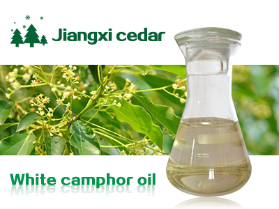  white camphor oil