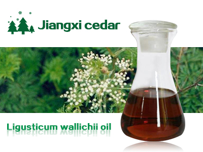 Ligusticum chuanxiong oil