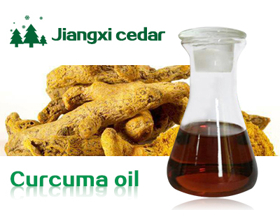 turmeric oil 