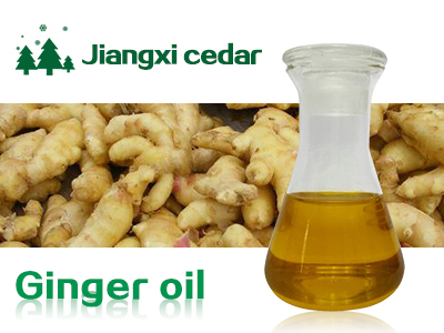 ginger oil