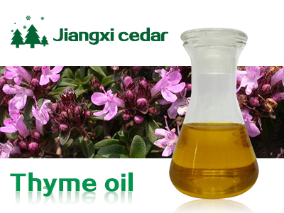 Basil oil