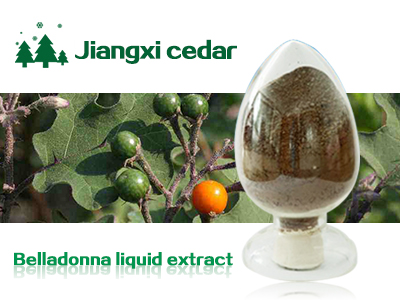Belladonna liquid extract 