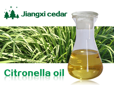 Citronella oil