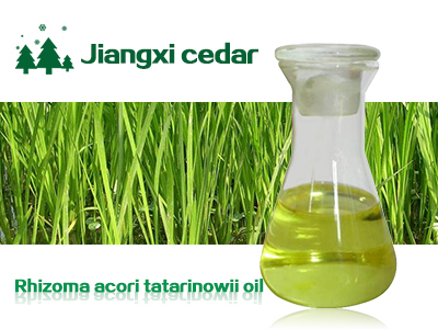 Acorus calamus oil