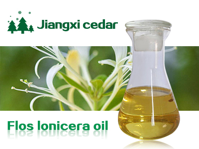 honeysuckle oil